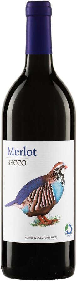 Merlot IGT