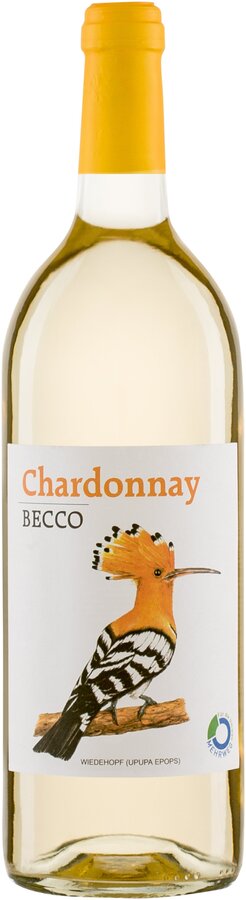 Chardonnay IGT